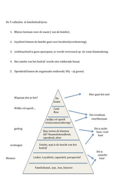 De vijf valkuilen voor familiebedrijven en hun oplossingen...
